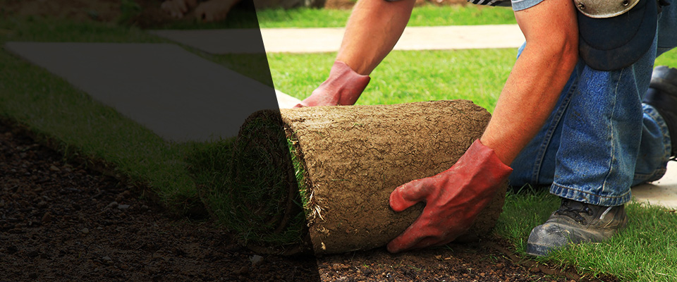 Portales Landscapers